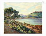 La Baie d'Agay by Armand Guillaumin