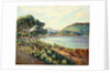 La Baie d'Agay by Armand Guillaumin