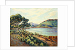 La Baie d'Agay by Armand Guillaumin