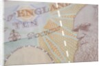 A close up of Charles Darwin on the back of a ten pound note by Anonymous