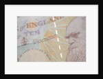 A close up of Charles Darwin on the back of a ten pound note by Anonymous