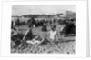 1920s two women sitting on the beach in bathing suits by Anonymous