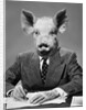 1950s 1960s 1970s Pigheaded businessman in a suit sitting at a desk by Anonymous