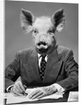 1950s 1960s 1970s Pigheaded businessman in a suit sitting at a desk by Anonymous