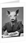 1950s 1960s 1970s Pigheaded businessman in a suit sitting at a desk by Anonymous