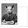 1950s 1960s 1970s Pigheaded businessman in a suit sitting at a desk by Anonymous