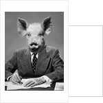 1950s 1960s 1970s Pigheaded businessman in a suit sitting at a desk by Anonymous