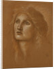 Head of a Woman by Edward Burne-Jones