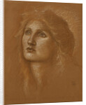 Head of a Woman by Edward Burne-Jones
