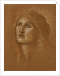 Head of a Woman by Edward Burne-Jones