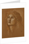 Head of a Woman by Edward Burne-Jones