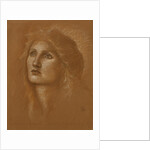 Head of a Woman by Edward Burne-Jones