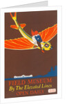 Poster for Field Museum with Children on Giant Koi by Anonymous