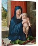 Madonna and Child by Albrecht Dürer