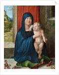 Madonna and Child by Albrecht Dürer