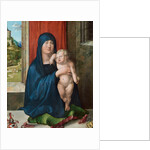 Madonna and Child by Albrecht Dürer