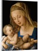 Virgin and Child with a Pear by Albrecht Dürer