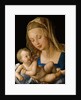 Virgin and Child with a Pear by Albrecht Dürer