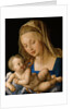 Virgin and Child with a Pear by Albrecht Dürer