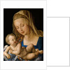 Virgin and Child with a Pear by Albrecht Dürer