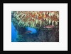 Soft Corals in Overhang, Maldives by Anonymous