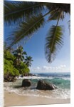 Mahe, Seychelles by Anonymous