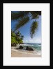 Mahe, Seychelles by Anonymous