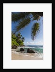 Mahe, Seychelles by Anonymous