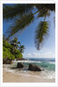 Mahe, Seychelles by Anonymous