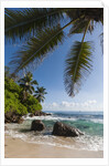 Mahe, Seychelles by Anonymous
