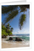 Mahe, Seychelles by Anonymous