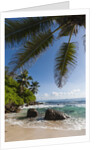 Mahe, Seychelles by Anonymous