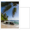 Mahe, Seychelles by Anonymous