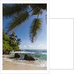 Mahe, Seychelles by Anonymous