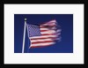 American Flag is blurred with the motion of the wind against the blue sky by Anonymous