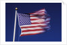 American Flag is blurred with the motion of the wind against the blue sky by Anonymous