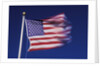 American Flag is blurred with the motion of the wind against the blue sky by Anonymous