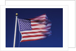 American Flag is blurred with the motion of the wind against the blue sky by Anonymous