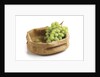 Grapes in a bag by Anonymous