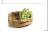 Grapes in a bag by Anonymous