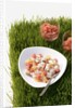 Watermelon and scallop ceviche by Anonymous