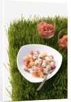 Watermelon and scallop ceviche by Anonymous