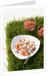 Watermelon and scallop ceviche by Anonymous