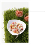 Watermelon and scallop ceviche by Anonymous