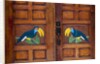 Door detail, Granada, Nicaragua by Anonymous