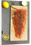 Herb covered salmon by Anonymous