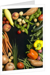 Mixed fruit and vegetables by Anonymous