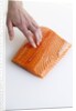 Salmon fillet by Anonymous