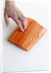 Salmon fillet by Anonymous