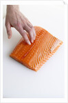 Salmon fillet by Anonymous